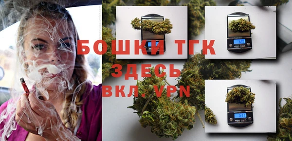 2c-b Каменка
