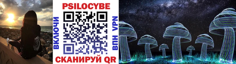 Купить закладки Адыгейск Галлюциногенные грибы Cubensis